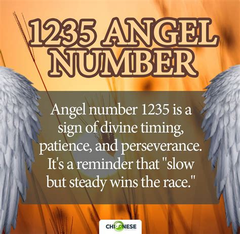 1235 angel number|Numéro angélique 1235